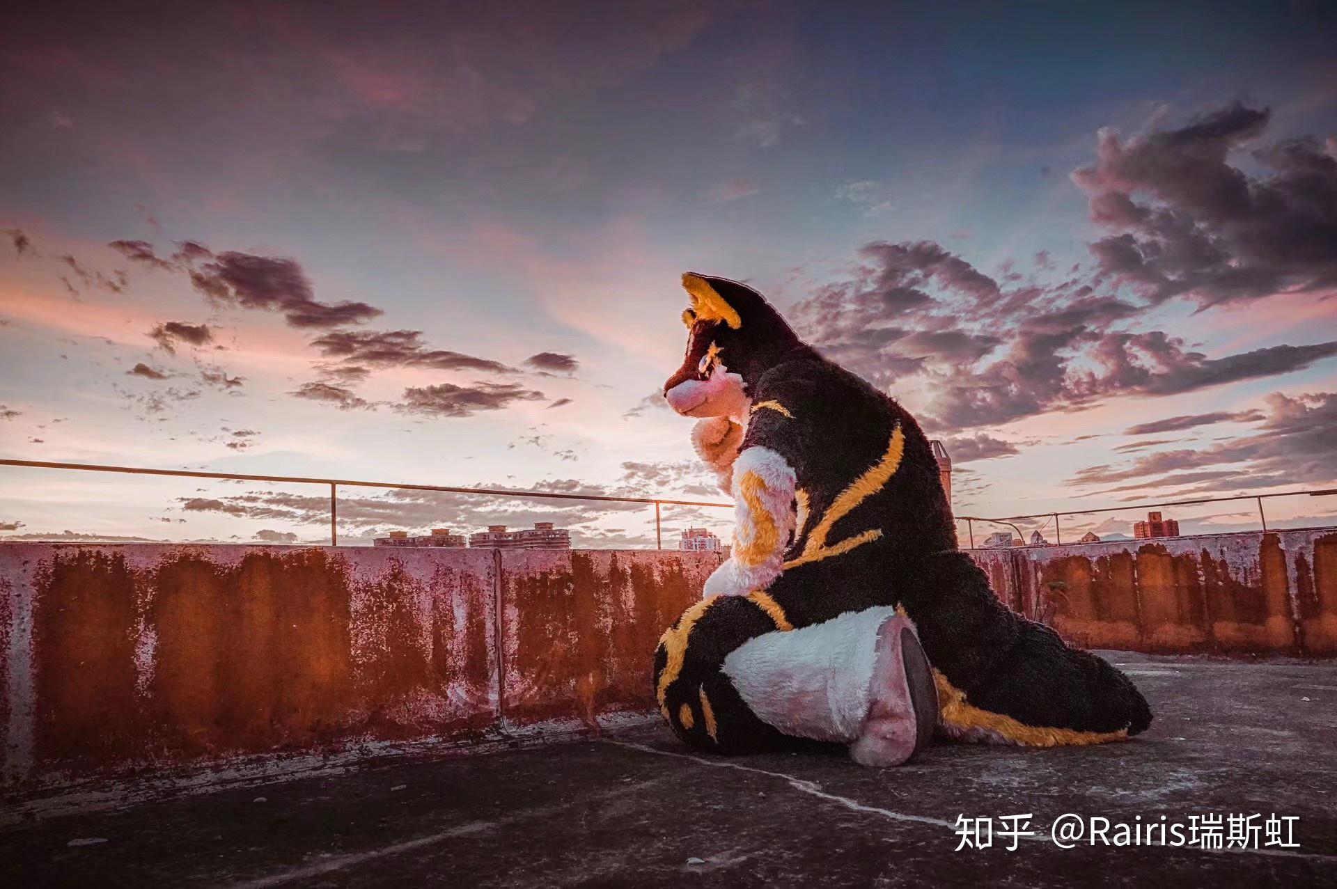 在中国内地,Furry群体是怎样的呢?(科普) - 知乎