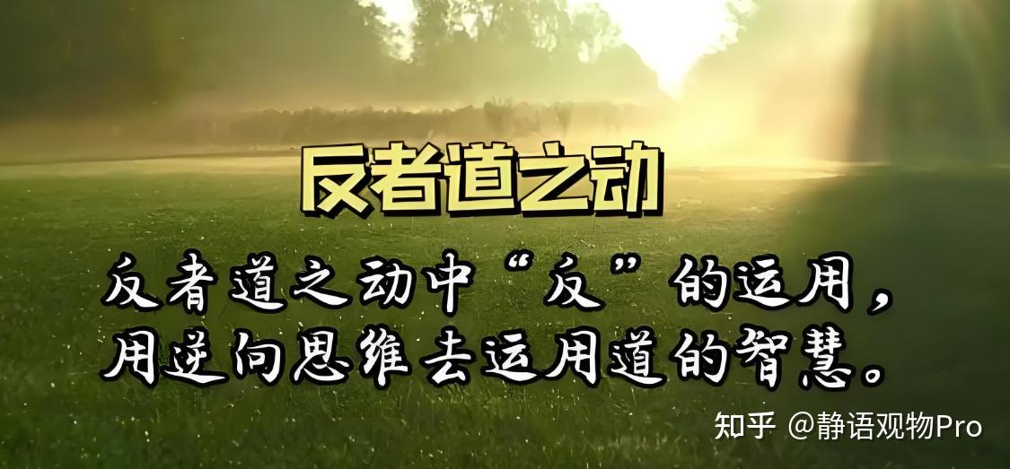 《道德经》“反者道之动，弱者道之用”：周期律动下的生存哲学 - 知乎