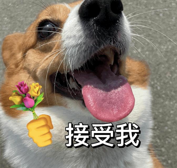 一组可爱的狗狗送花花表情包