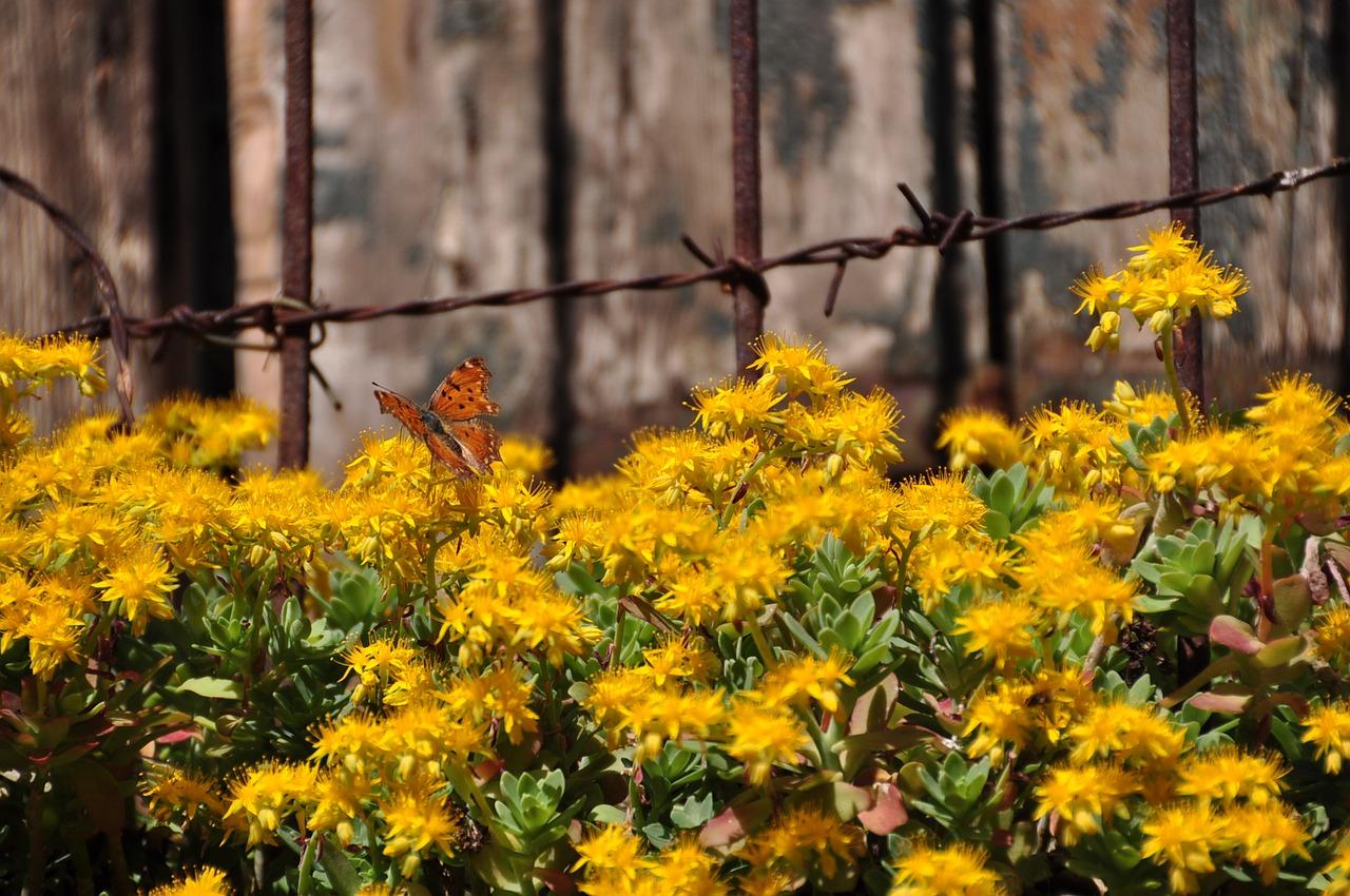 4. 起步资金明细