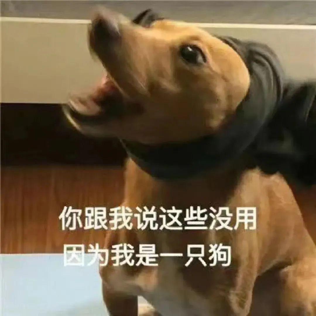 你客气了表情包 - 知乎