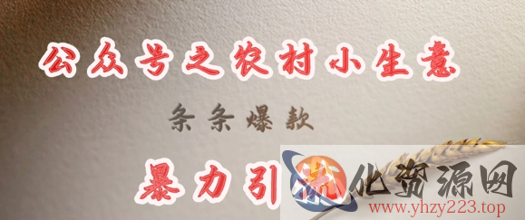 deepseek写农村小项目，条条爆款，暴力引流