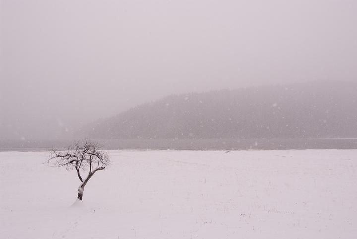 雪地胎的价格4