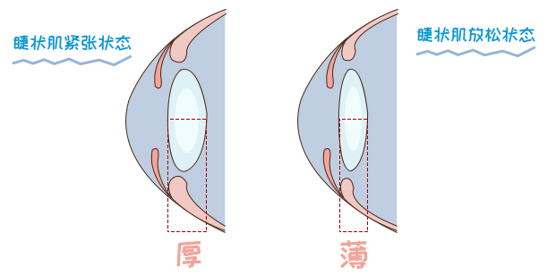 孩子近视验光要散瞳，到底伤不伤眼？2分钟带你了解真相 - 知乎