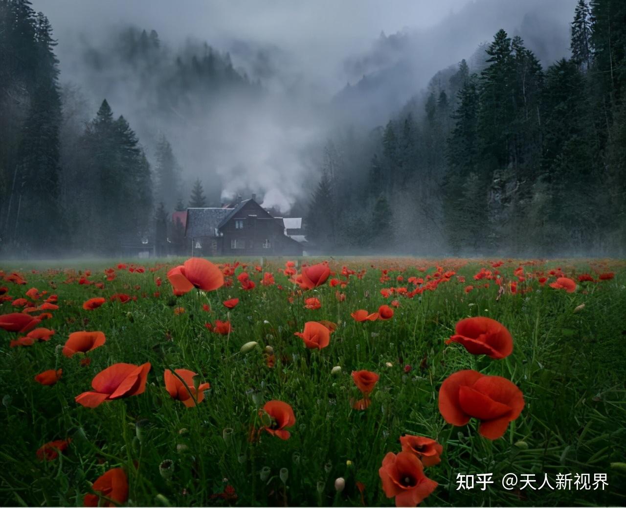 什么是前景构图,为什么现在摄影师都喜欢前景构图摄影? - 知乎