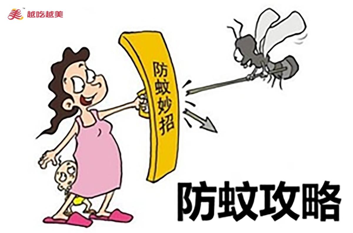 炎热夏季，蚊子能传染哪些疾病？_世界医疗网