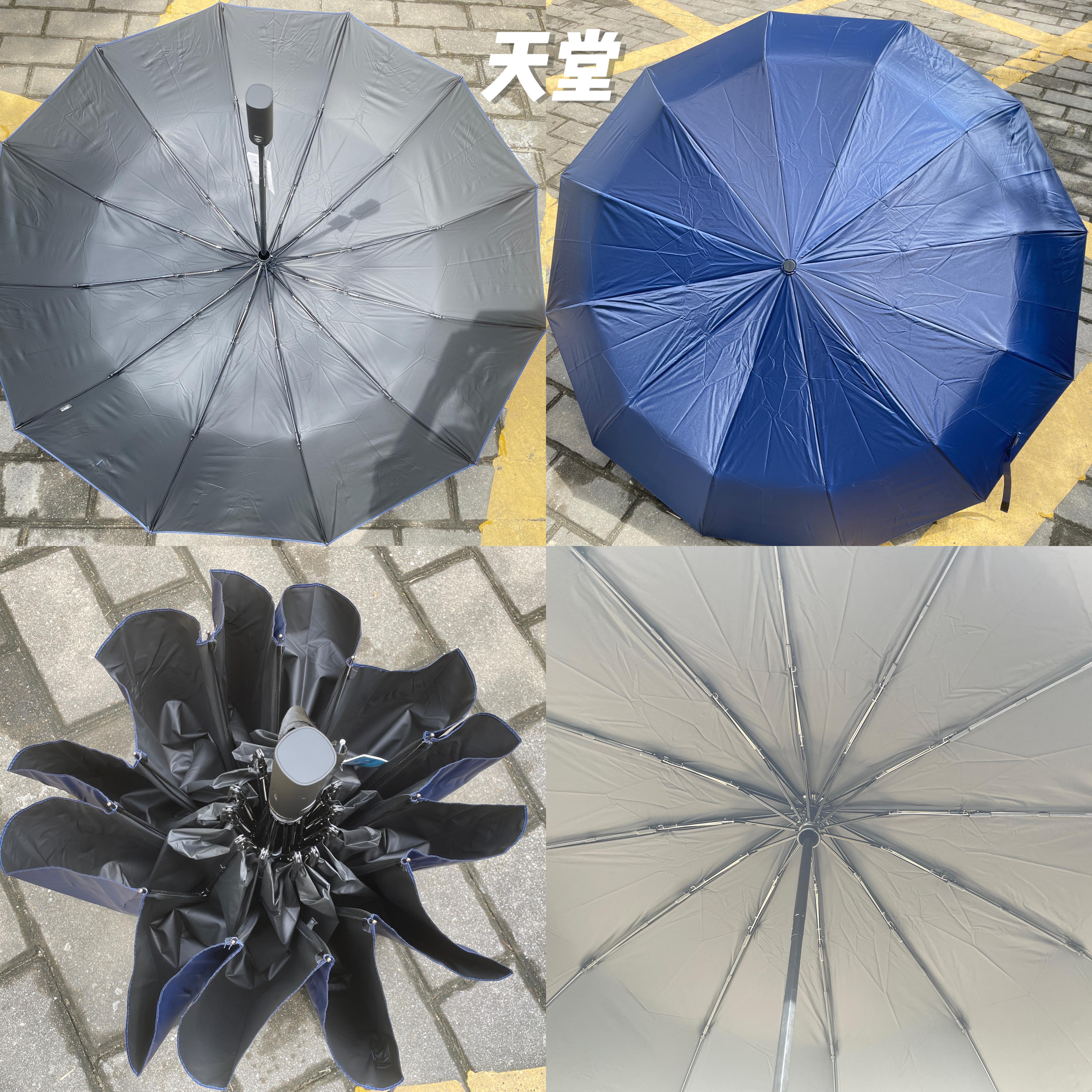 2024年雨伞选购攻略！雨伞要怎么选？什么牌子好？附蕉下、SUNSKIP阳光跳跃、天堂、左都等实拍测评！好用的是这两把