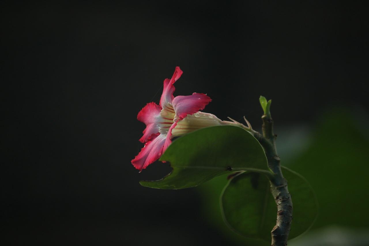 预留网络面板位置