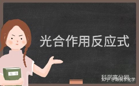 光合作用反应式 - 知乎