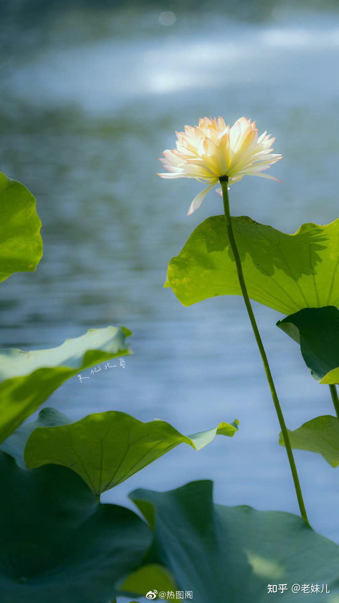 一张图或是一首歌来告别你的11月? - 知乎