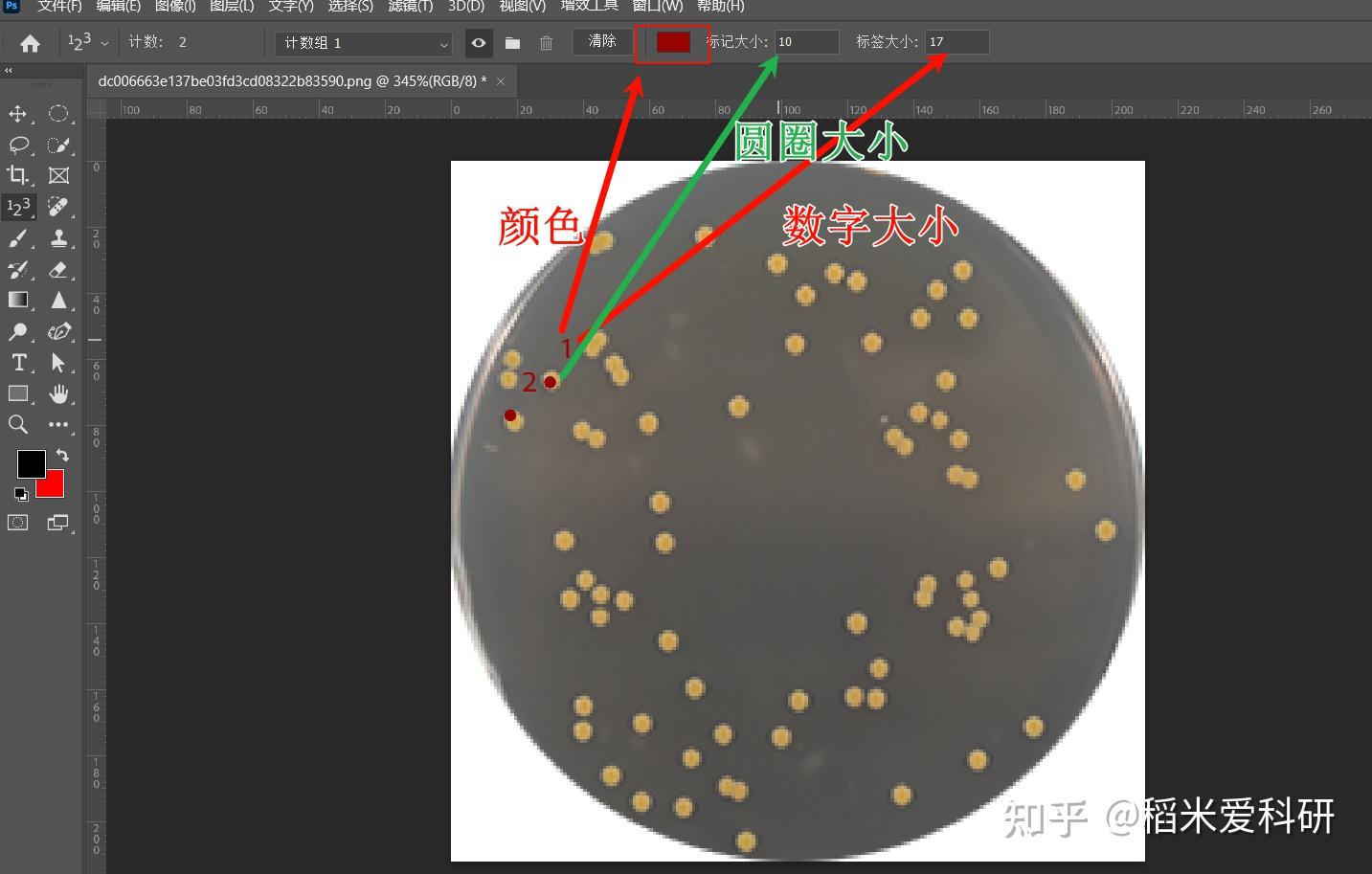 计数？你可以选它们！ - 知乎