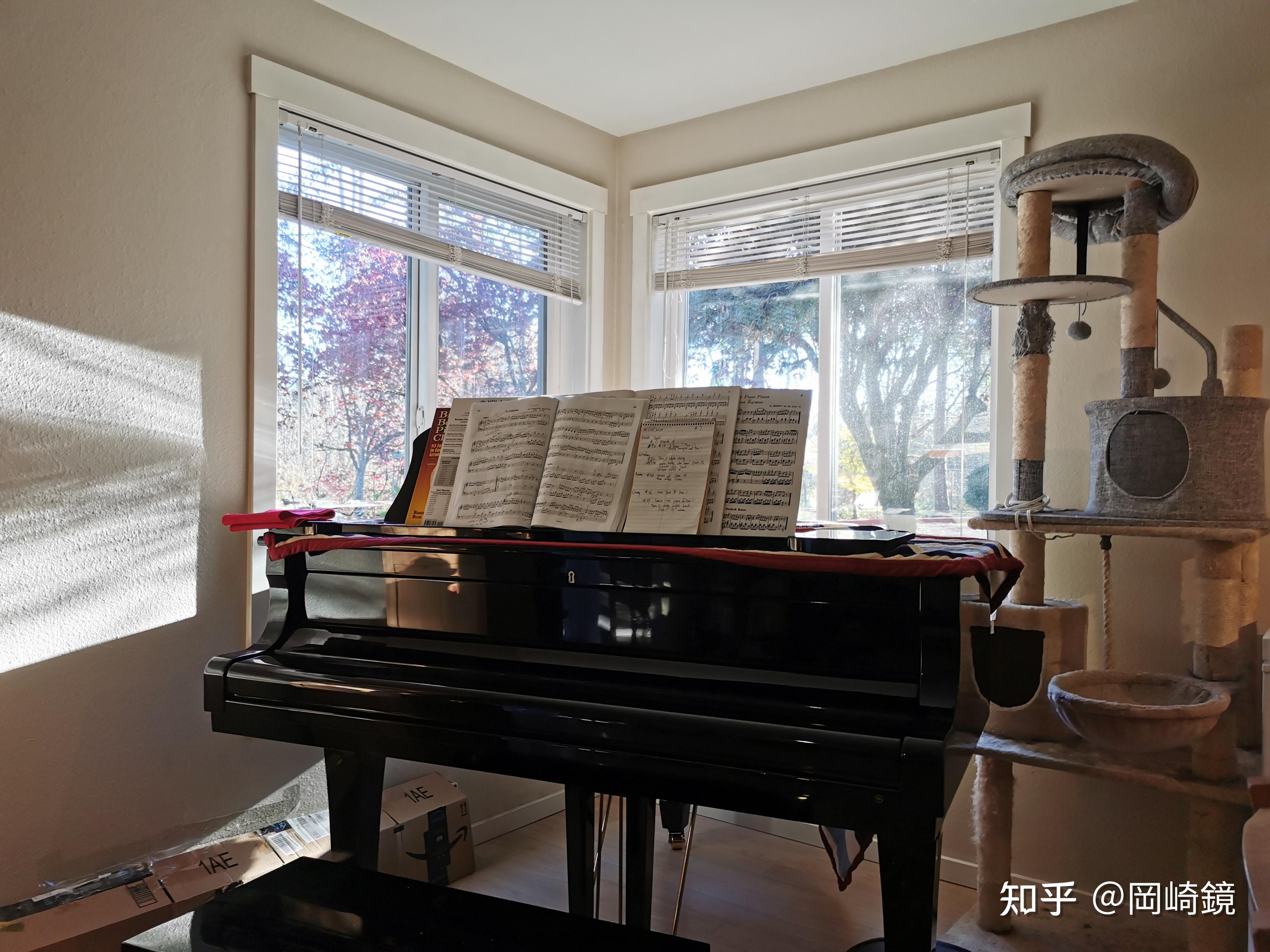 家里有一架三角钢琴是怎样的体验