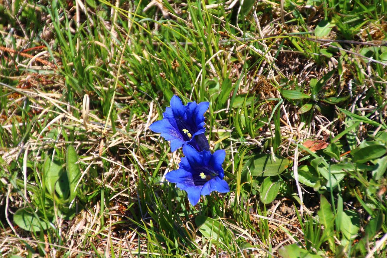 2. 滴翠湖房产价格