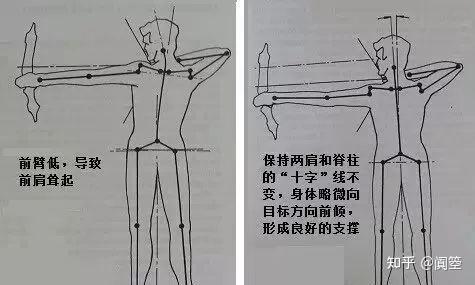 初学者“反曲弓”购买,射箭姿势教学指南~ - 知乎