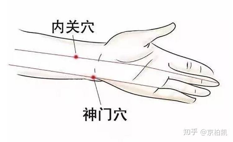 【神门穴】治“心”之要穴 - 知乎
