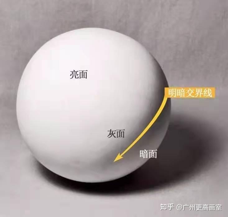 素描明暗交界线太生硬了,怎么办? - 知乎