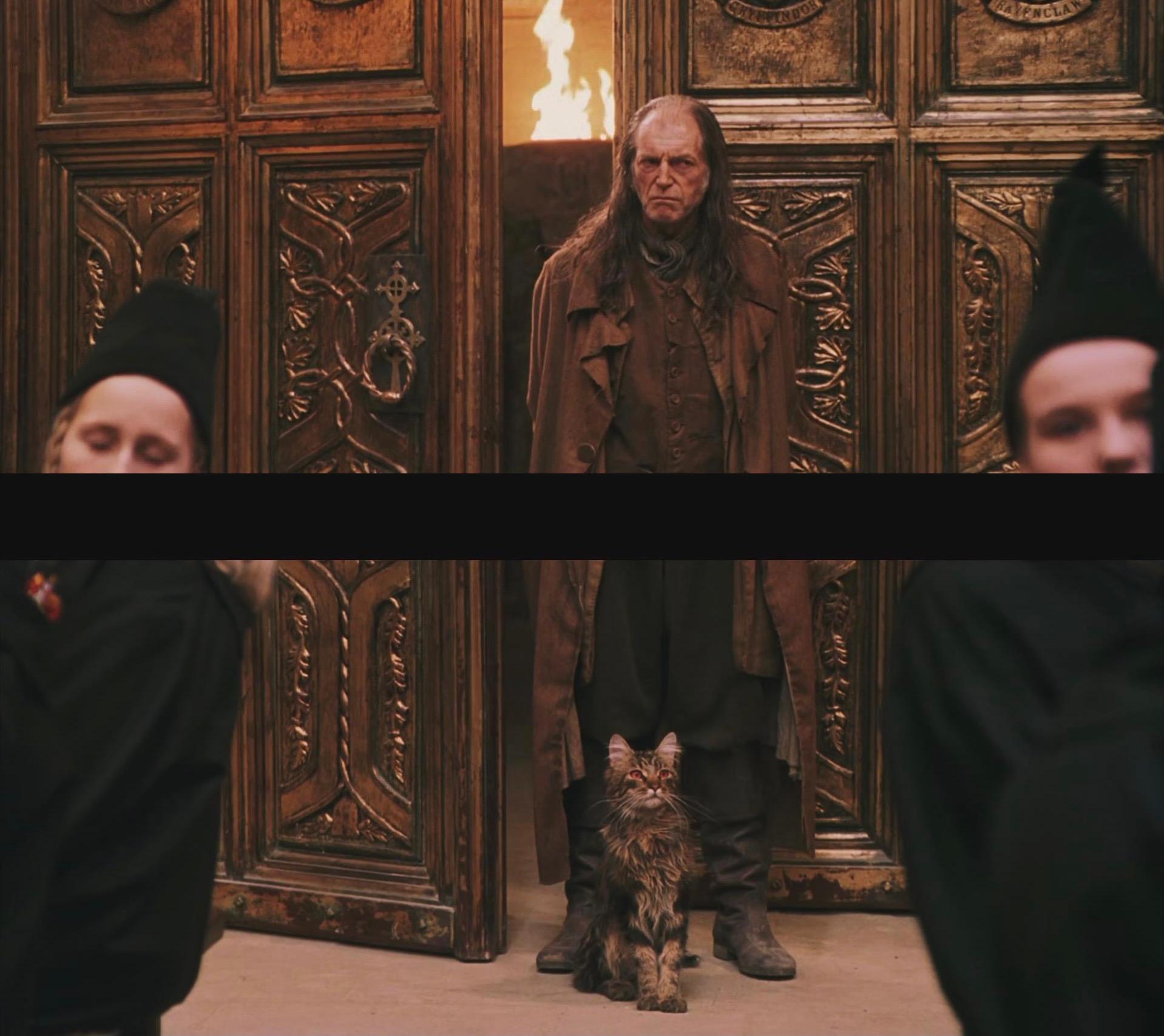 怎样评价《哈利波特》中关于费尔奇的人物设定?