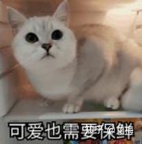 冰箱推荐2026 | 家庭全食材新标准 | 推荐几款值得入手的冰箱
