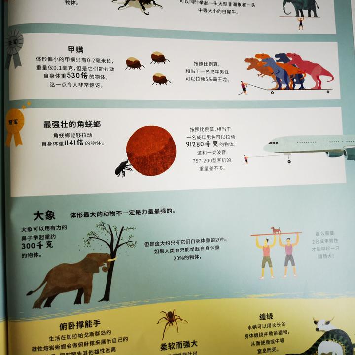 令人叹为观止的科普绘本,看了超涨知识