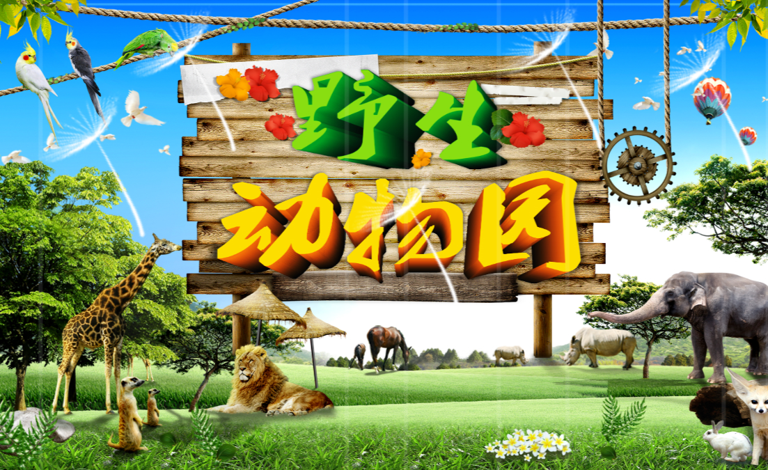 野生动物园动物世界ppt模板