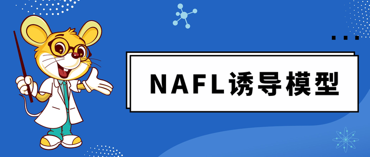 年末のプロモーション特価！ 脂肪模型3キロ ✖️2個 その他 - www