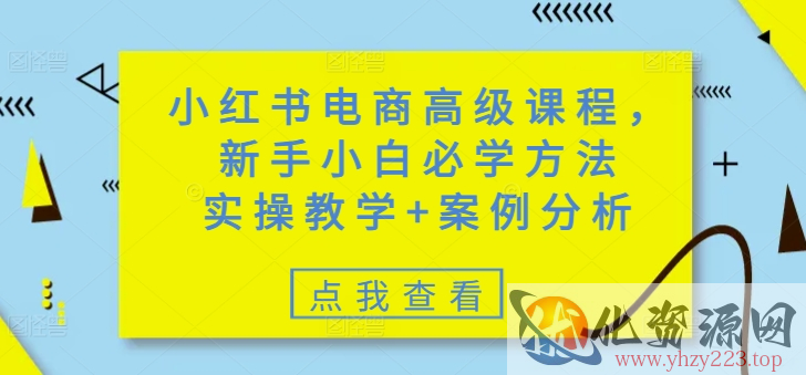 小红书电商高级课程，新手小白必学方法，实操教学+案例分析