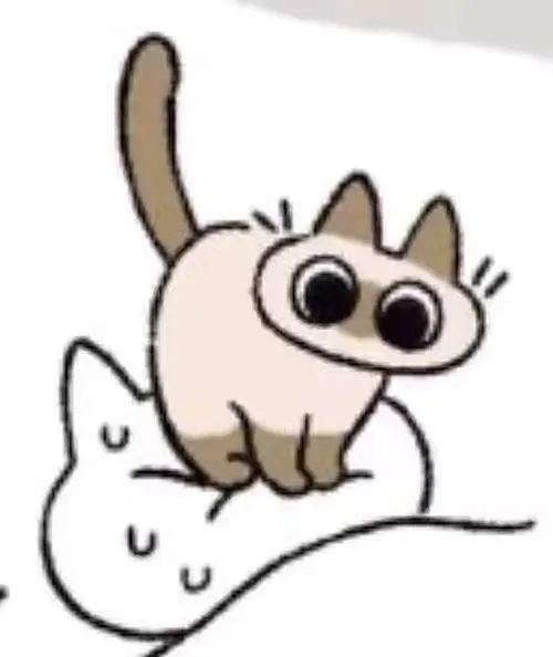 你们有这个暹罗猫的表情包么?