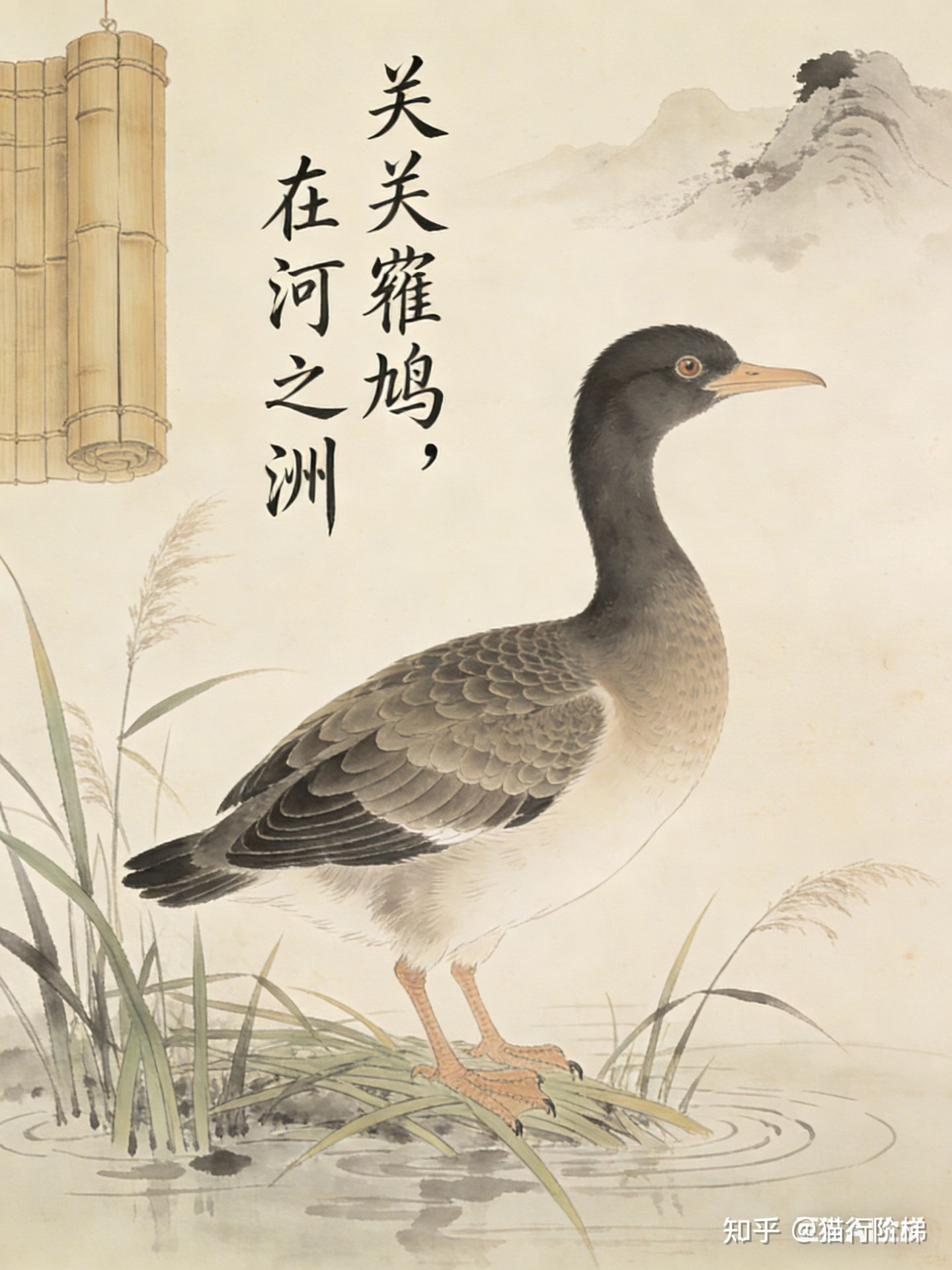 鸟儿飞过那《诗经》 - 知乎