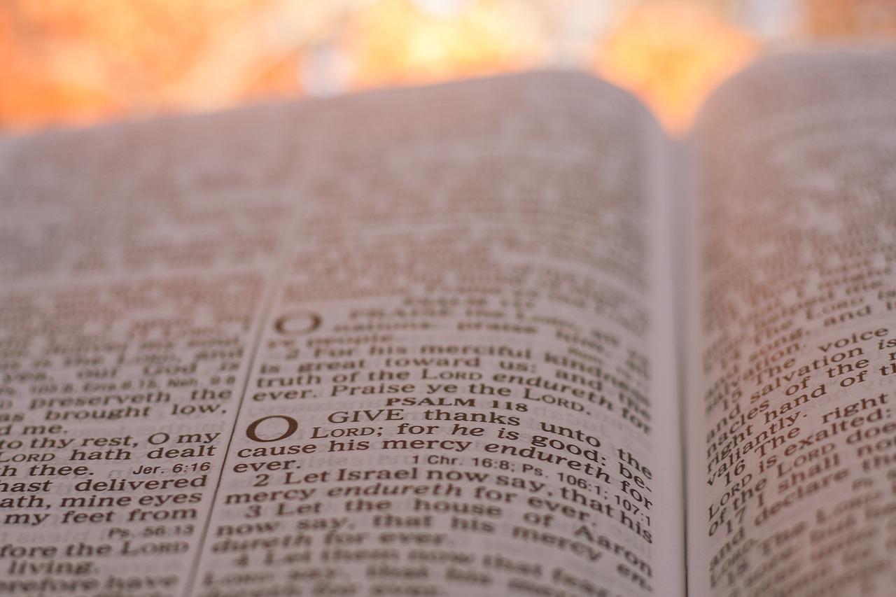 果实累累丰收季