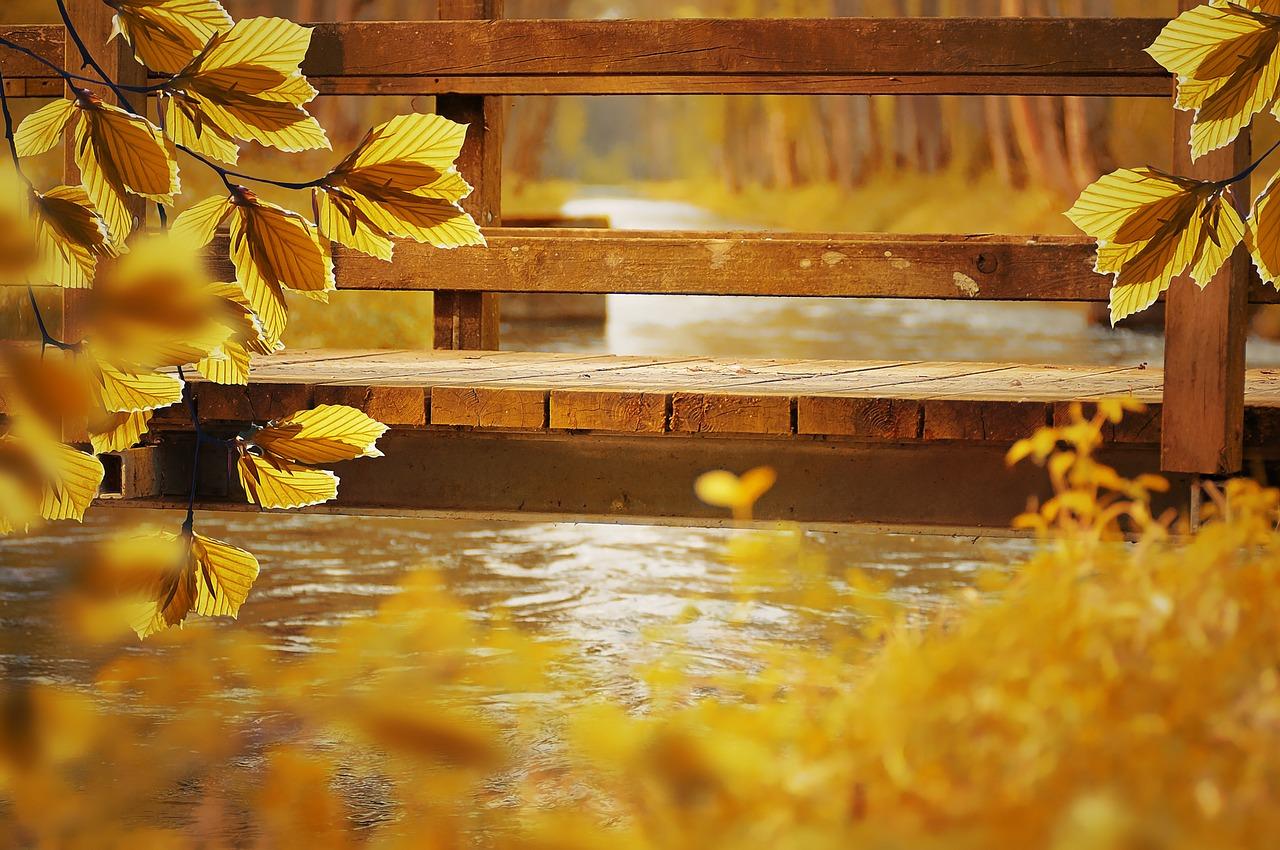 5. 灌缝工程预算