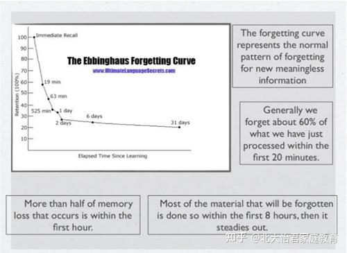 学了忘,忘了学?| 三个阶段六个技巧,教你成为记忆高手 - 知乎