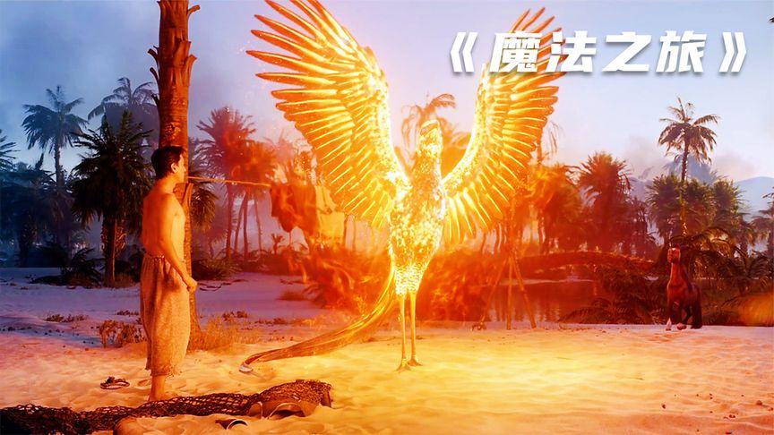 男人意外救下一只火凤凰没想到竟因此捡回一条命魔法之旅