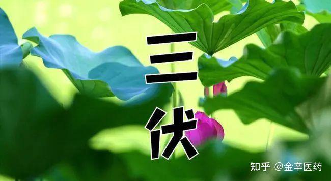 三伏天快到了，三伏五忌是什么？ - 知乎