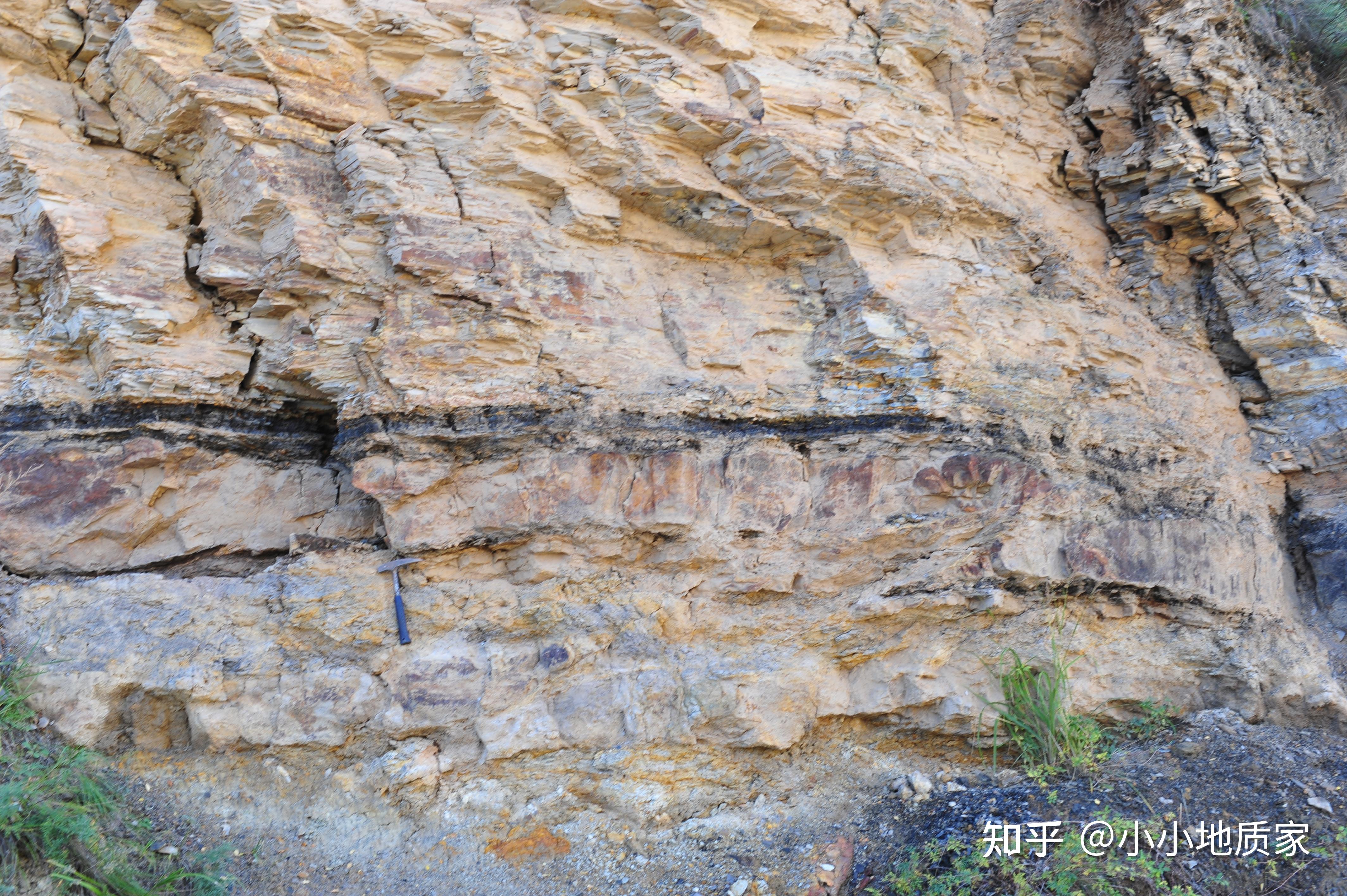 为什么陆地表面大部分地区都有沉积岩岩层? - 知乎