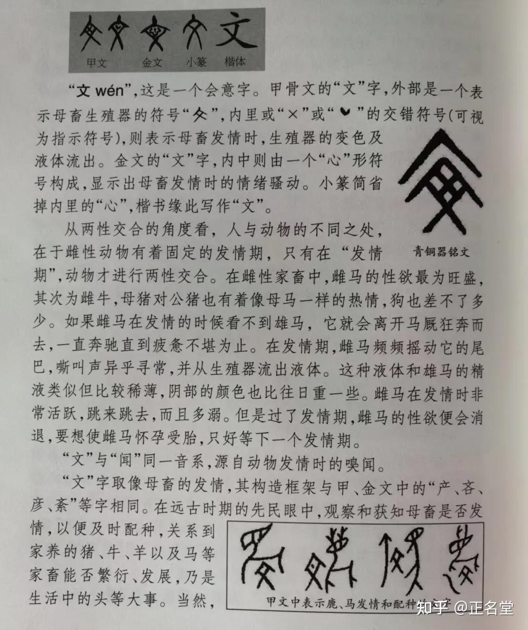 什么是文?再熟悉不过的字不见得都说得清楚 - 知乎
