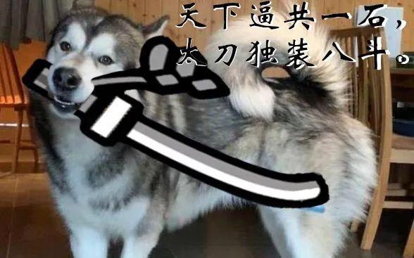 为什么玩太刀的人品味都很好？ - 知乎