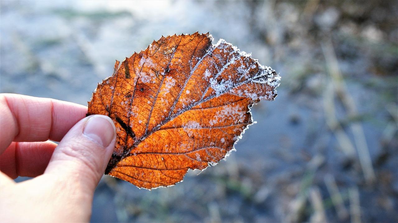 2. 信息详实无隐瞒