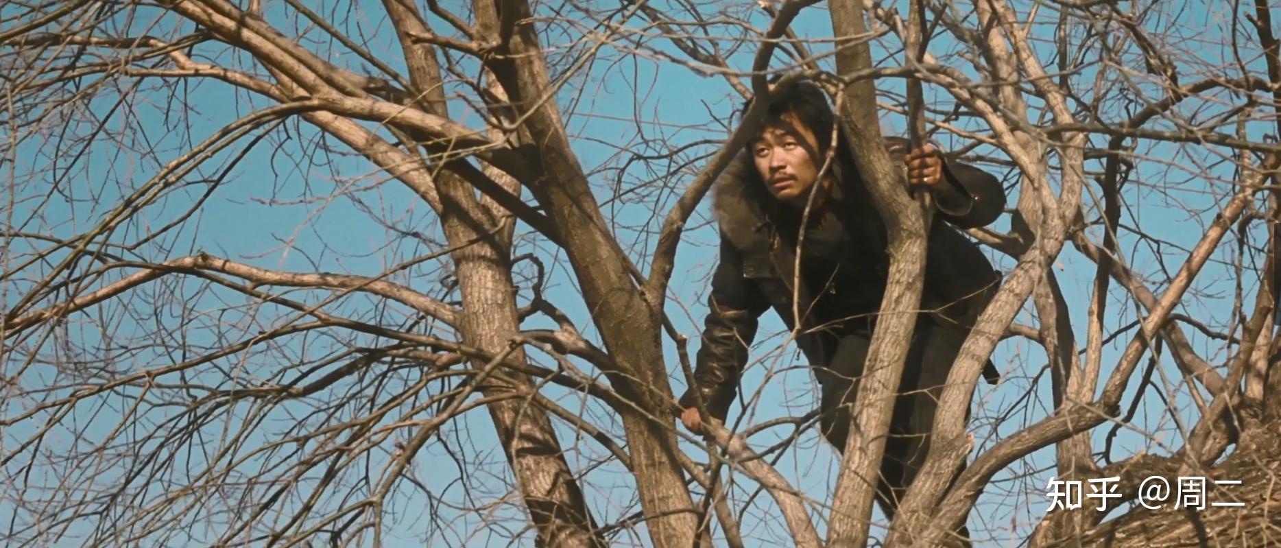 如何评价hello树先生这部电影