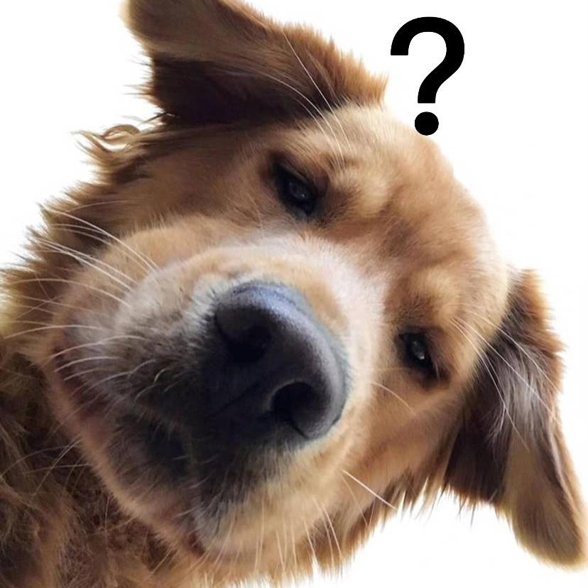 大家有哪些斗图必备的沙雕表情包