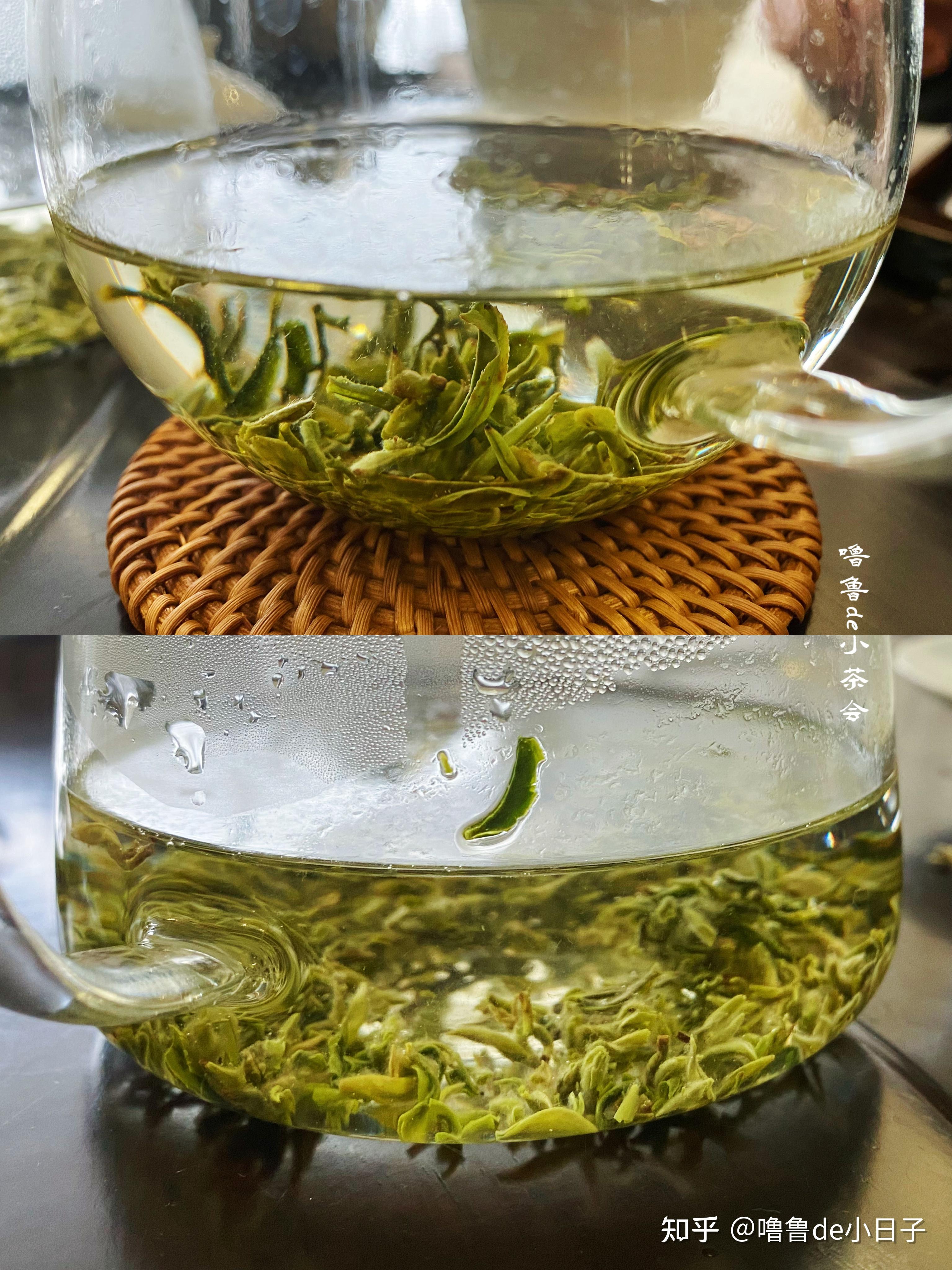 普洱生茶属于晒青绿茶,这个说法你认同吗? 