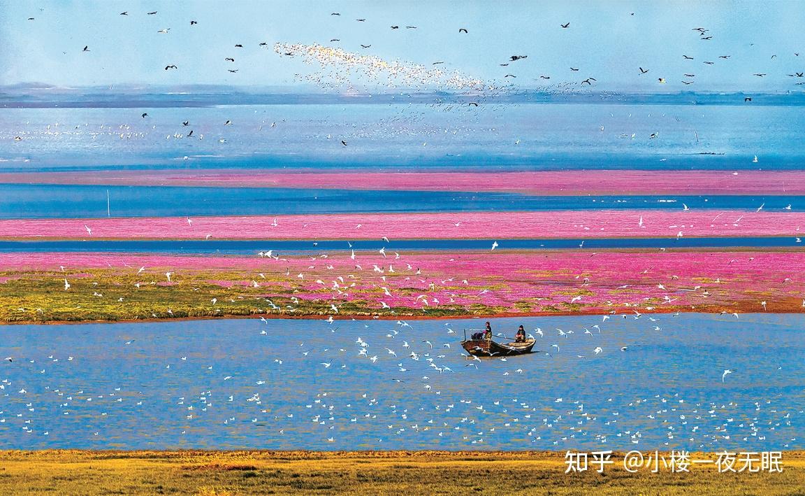 鄱阳湖旅游攻略:江南水韵与候鸟天堂的完美邂逅 - 知乎