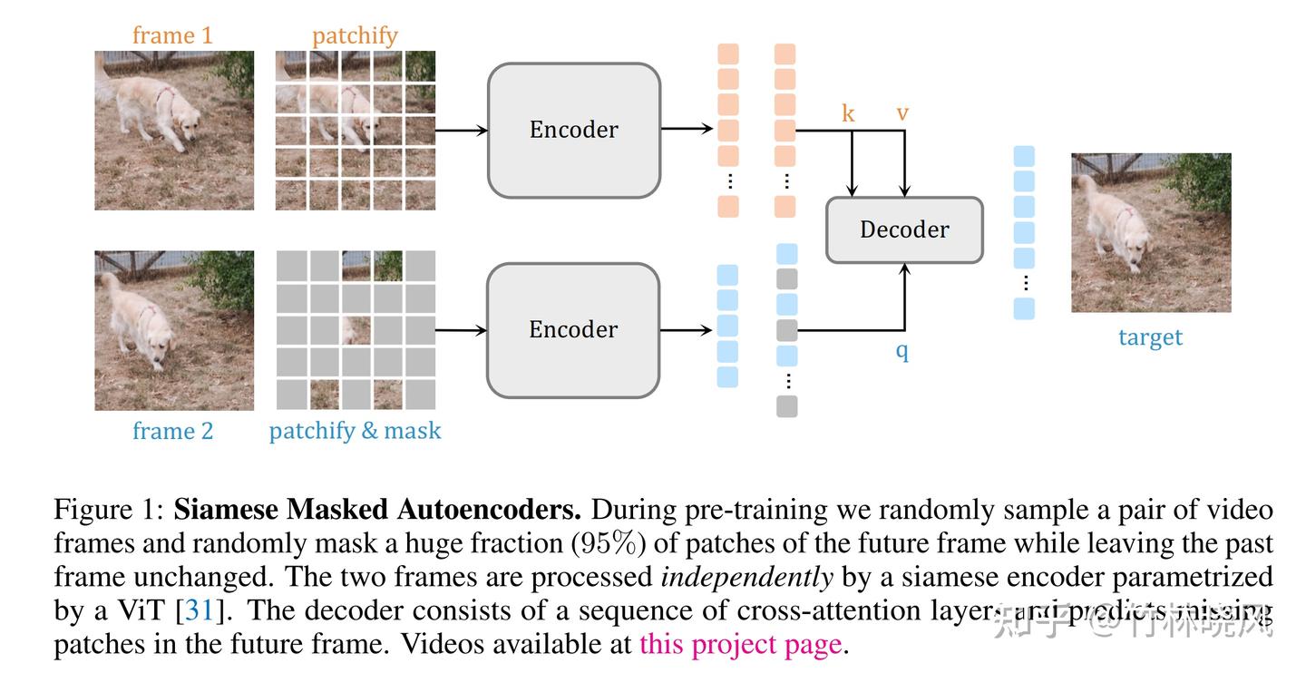 Siamese Masked Autoencoders - 知乎