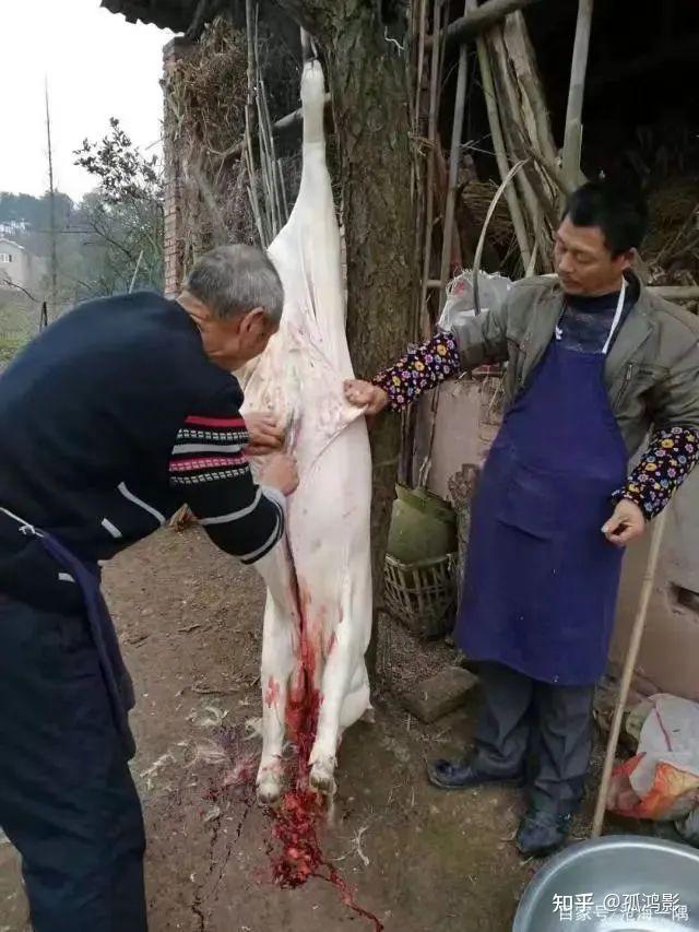 如何看待网上为冉闵洗白的言论