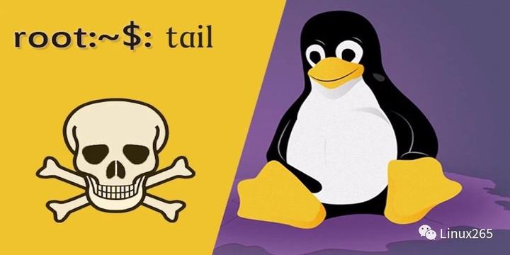 如何在Linux中使用Tail命令 - 知乎