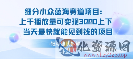 小众蓝海赛道项目：当天变现1k+适合新手操作 +适合长期玩