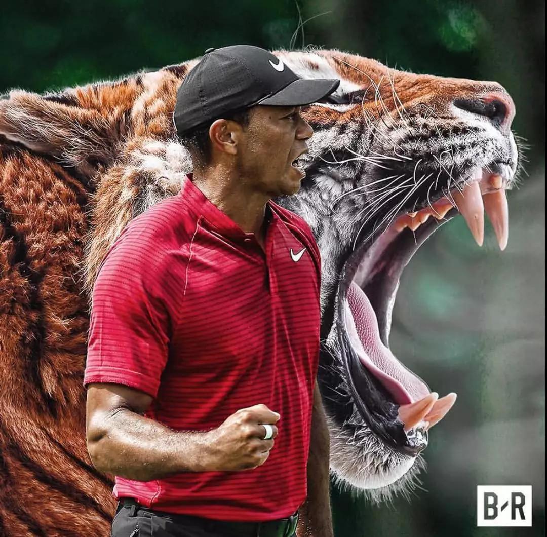 如何评价老虎伍兹时隔14年再次夺得高尔夫大满贯赛事美国大师赛冠军