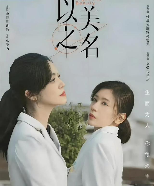 5大看点解析《以美之名》:姚晨贾静雯飙戏,观众直呼“太敢拍” - 知乎