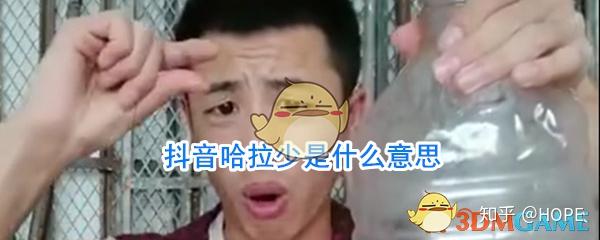 网络词哈拉少是什么意思