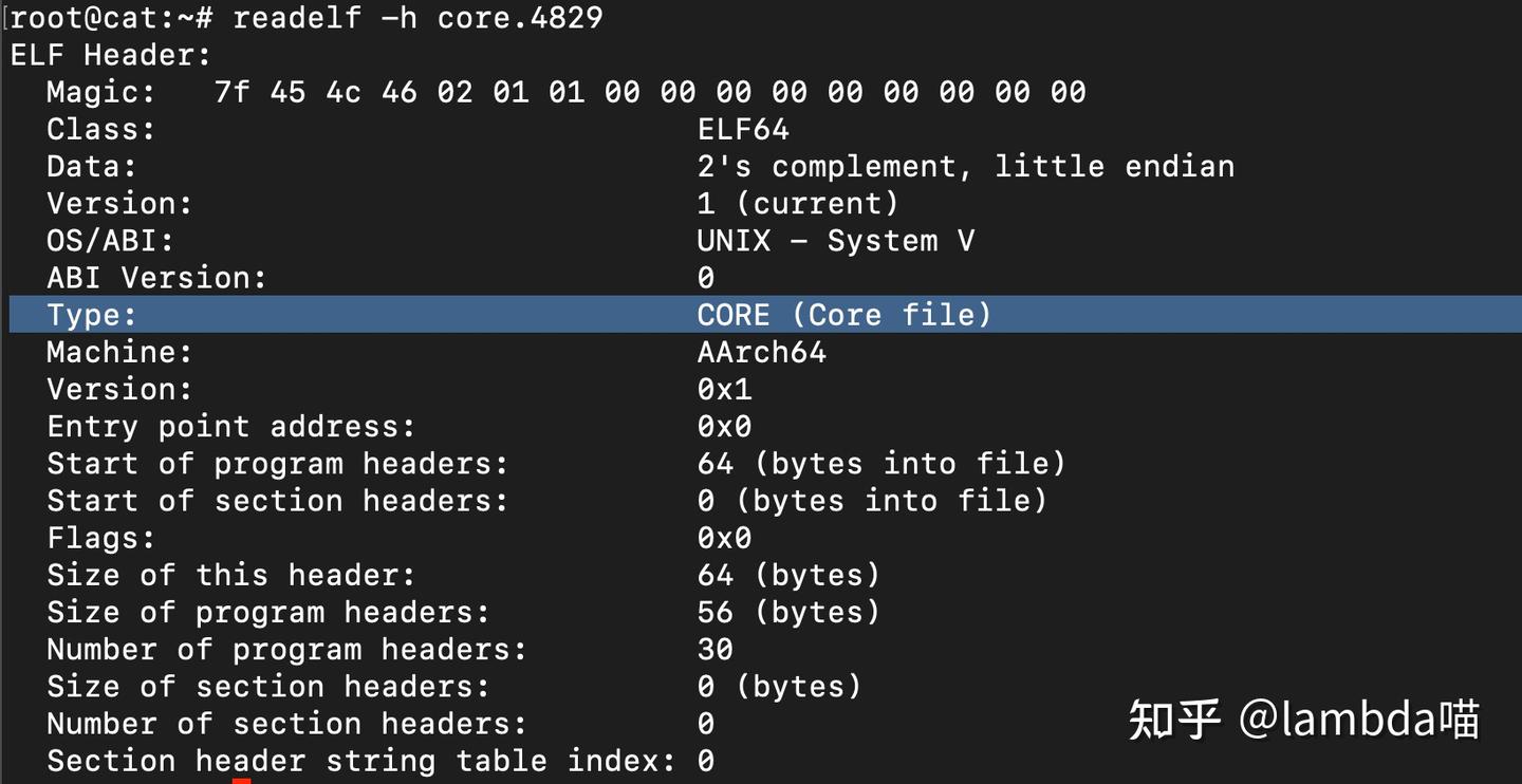 Linux CoreDump 生成原理剖析 - 知乎