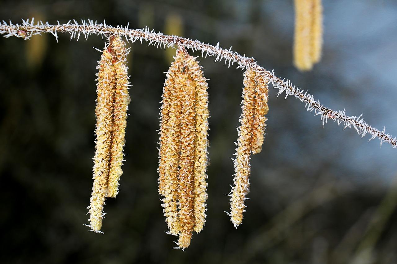 2. 空调市场分析